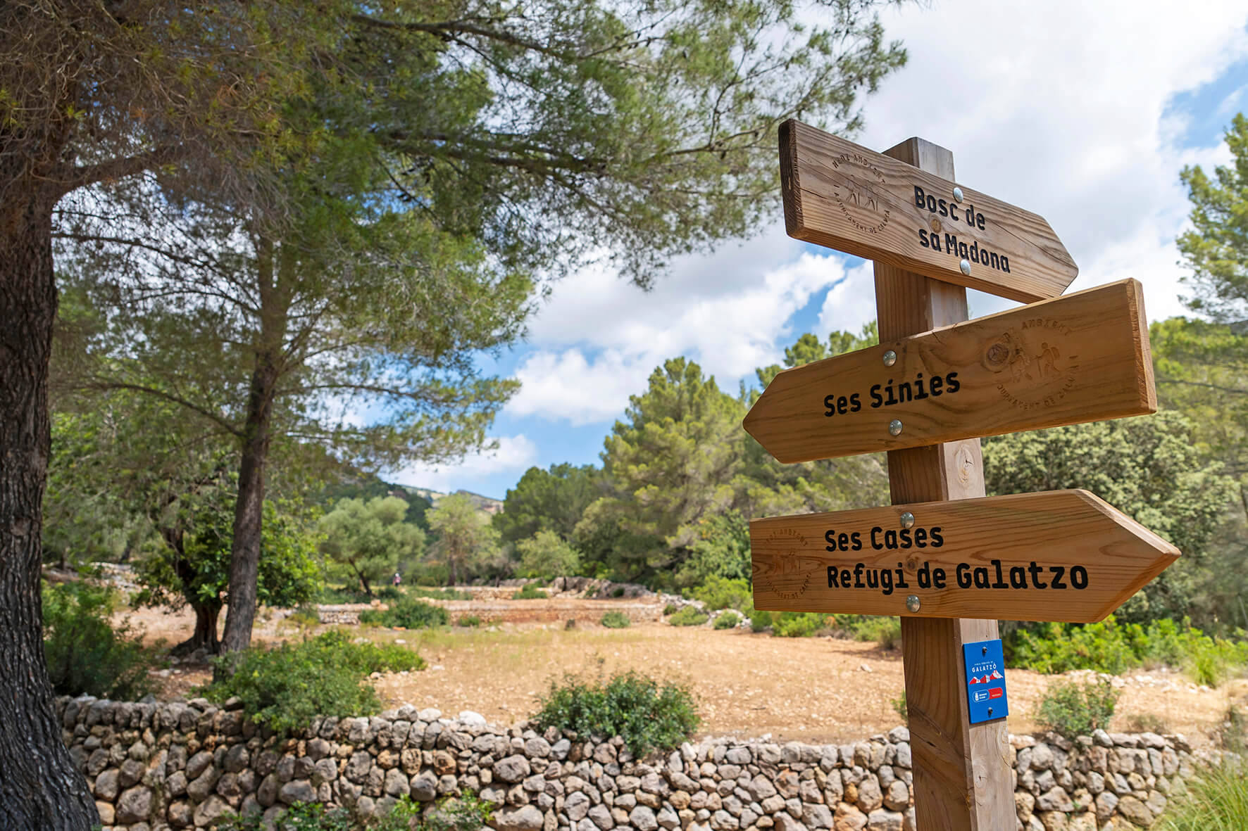 Finca Galatzó 07