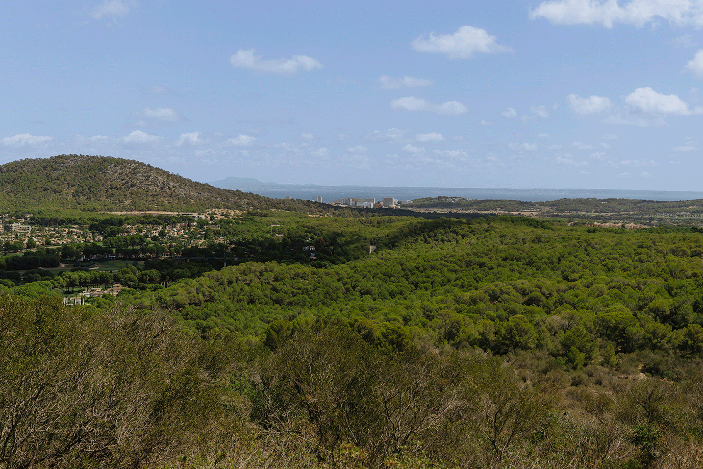 Tierra viva06